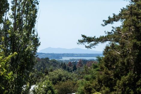 Photo of property in 425 Hot Springs Road, Tahawai, Katikati, 3178