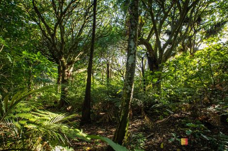 Photo of property in 166b Heard Road, Waihi, 3681