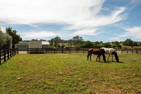Photo of property in 126 Willoughby Road, Tahawai, Katikati, 3170