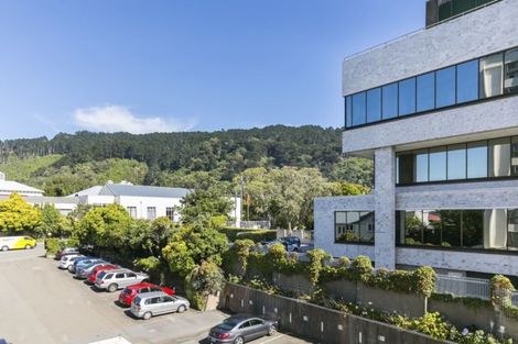 Photo of property in Hobson Court Flats, 22/70 Hobson Street, Thorndon, Wellington, 6011