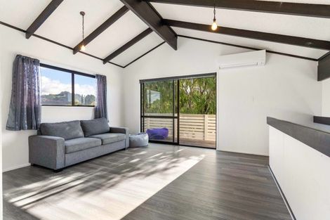 Photo of property in 113 Lorraine Place, Whangamata, 3620