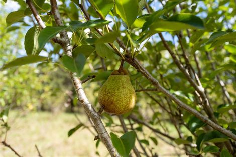 Photo of property in 3687 State Highway 12, Taheke, Kaikohe, 0473