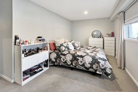 Photo of property in Dixonlane Apartments, 9/7 Feltex Lane, Te Aro, Wellington, 6011
