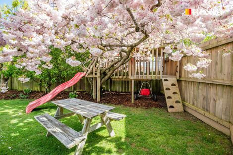 Photo of property in 15 Cherry Drive, Mosgiel, 9024