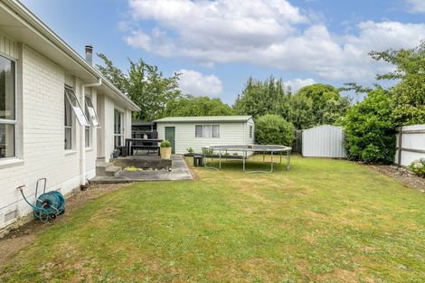 Photo of property in 6 Windsor Place, Levin, 5510
