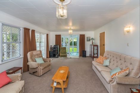 Photo of property in 234 Kawiu Road, Levin, 5510