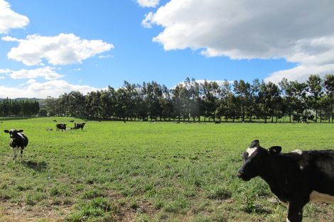 Photo of property in 137 Blackman Road, Blackmans, Alexandra, 9391