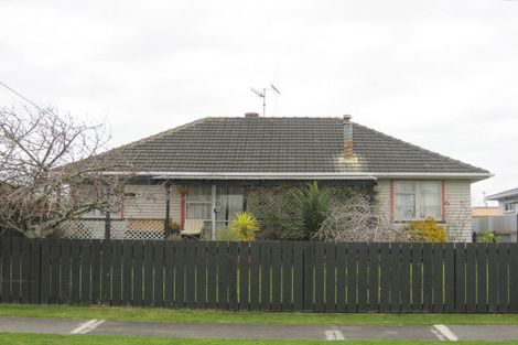 Photo of property in 14 Norfolk Street, Levin, 5510