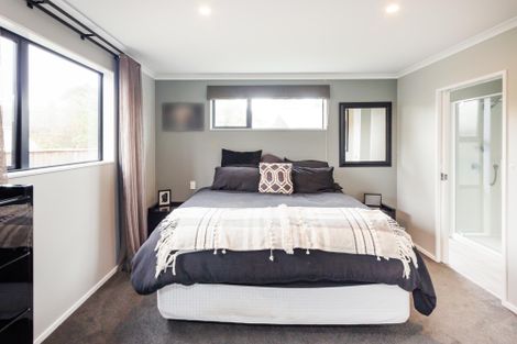 Photo of property in 30a Alfred Street, Roslyn, Palmerston North, 4414