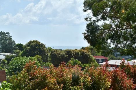 Photo of property in 60 Albatross Road, Red Beach, 0932
