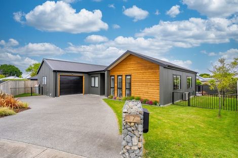 Photo of property in 17 Tarata Grove, Lansdowne, Masterton, 5810