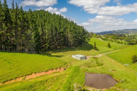 Photo of property in 52 Tuiglen Place, Glenbervie, Whangarei, 0173