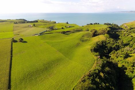 Photo of property in 1055 Pukearuhe Road, Waiiti, Urenui, 4377