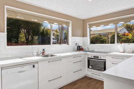 Photo of property in 18 Argyle Street, Mornington, Dunedin, 9011