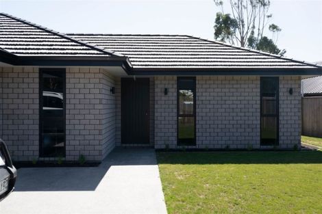 Photo of property in 46 Grigg Drive, Witherlea, Blenheim, 7201