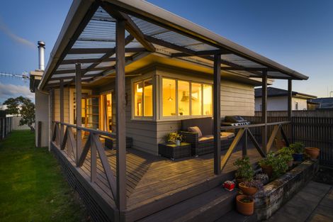 Photo of property in 30 Guy Avenue, Takaro, Palmerston North, 4410