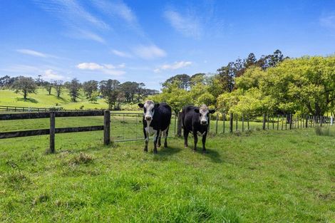 Photo of property in 169 Awa Road, Kumeu, 0891