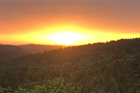 Photo of property in 323 Govan Wilson Road, Whangaripo, Warkworth, 0985