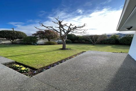 Photo of property in 13 Highgate Avenue, Merivale, Christchurch, 8014