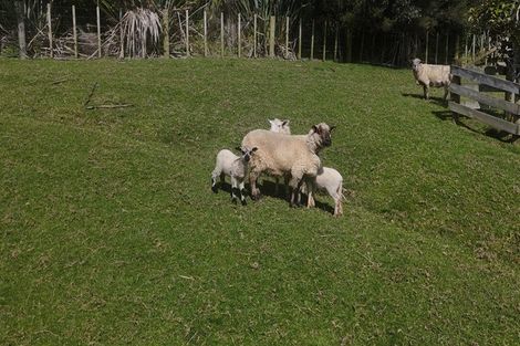 Photo of property in 1417 Mangawhai Road, Mangawhai, Wellsford, 0975