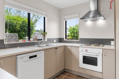 Photo of property in 49 Solomon Street, Brookfield, Tauranga, 3110