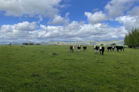 Photo of property in 106 Kukutauaki Road, Koputaroa, Shannon, 5575