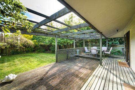 Photo of property in 101 Monrad Street, Highbury, Palmerston North, 4412