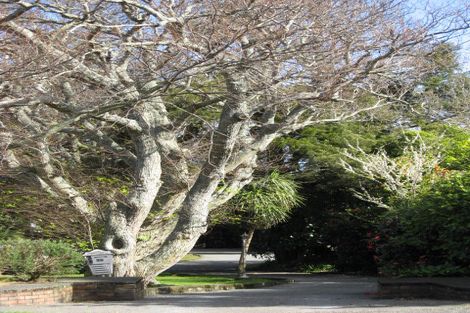 Photo of property in 20 Macarthur Street, Levin, 5510