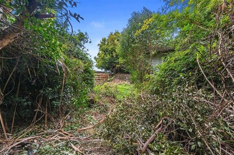 Photo of property in 17 Fend Street, Chartwell, Hamilton, 3210