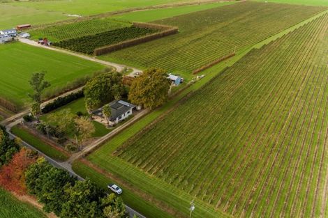 Photo of property in 144 Ngakoroa Road, Ormond, Gisborne, 4071