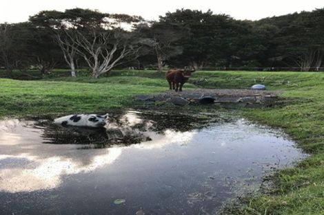 Photo of property in 482 Millbrook Road, Waipu, 0582