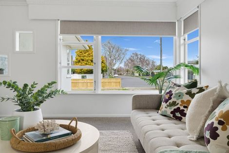 Photo of property in 423 Ruahine Street, Terrace End, Palmerston North, 4410