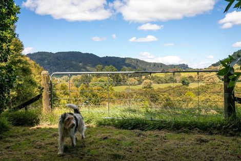 Photo of property in 49 Mangotahi Road, Thames, 3577