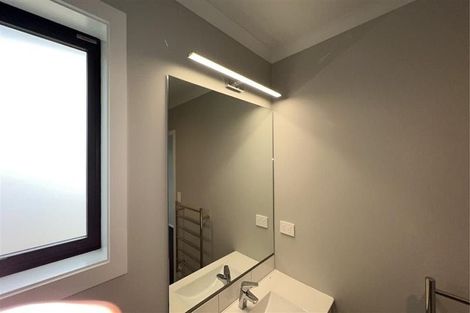 Photo of property in 111 Hinemoa Street, Levin, 5510