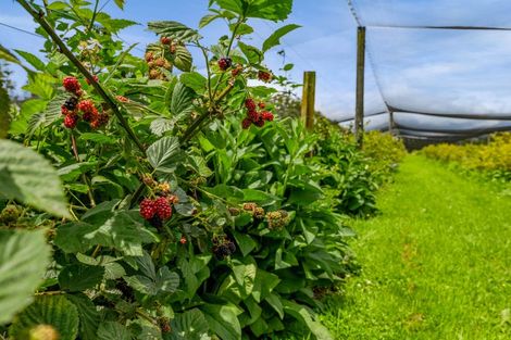 Photo of property in 438 Alfred Road, Kaimiro, New Plymouth, 4371