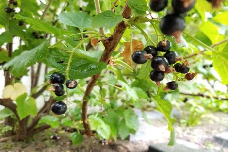 Photo of property in 42 Glamis Avenue, Strathmore Park, Wellington, 6022