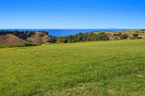 Photo of property in 86a Mimiha Ridge Road, Matata, Whakatane, 3194
