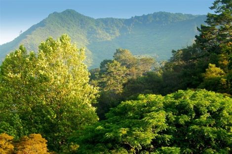 Photo of property in 39 River Road, Paeroa, 3674