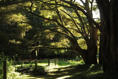 Photo of property in 130 Gibbons Road, Kaiwaka, 0573