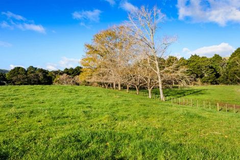 Photo of property in 1149a Whangaripo Valley Road, Whangaripo, Wellsford, 0972