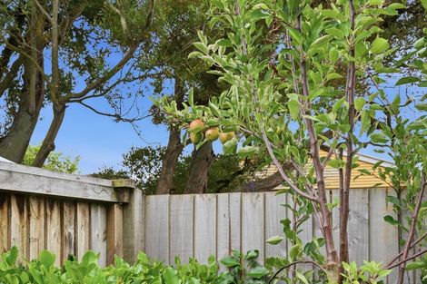 Photo of property in 7 Ettrick Lane, Richmond, Christchurch, 8013