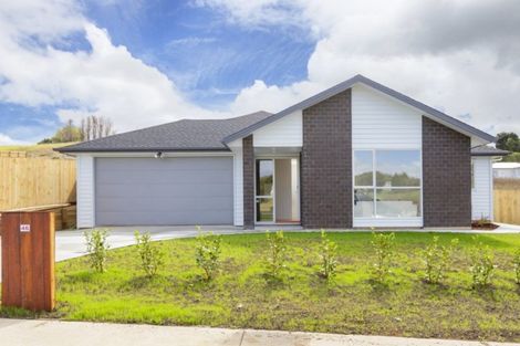 Photo of property in 46 John Andrew Drive, Warkworth, 0910