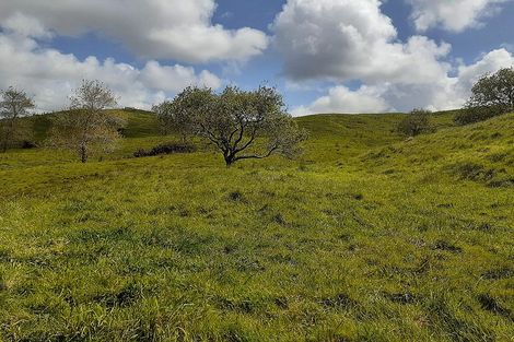 Photo of property in 171 Arcadia Road, Paparoa, 0571