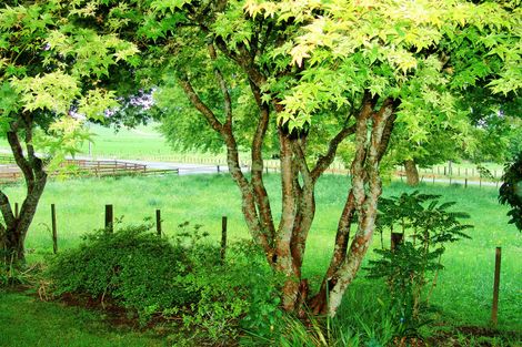 Photo of property in 93 Penny Road, Pirongia, Te Awamutu, 3876