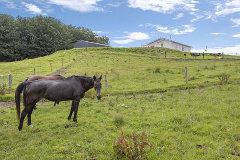 Photo of property in 403 Opunake Road, Cardiff, Stratford, 4391