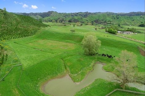 Photo of property in 987 Ongarue Back Road, Ongarue, Taumarunui, 3996