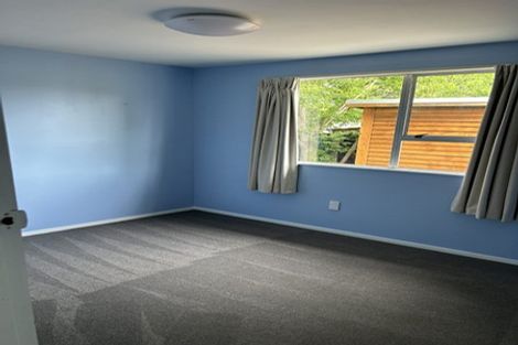 Photo of property in 21 Antimony Crescent, Cromwell, 9310