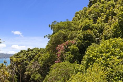 Photo of property in 501 Marine Drive, Sunshine Bay, Lower Hutt, 5013