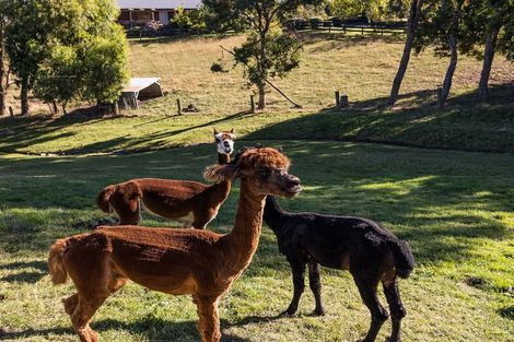 Photo of property in 2 Kilmarnock Close, Waldronville, Dunedin, 9018