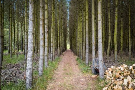 Photo of property in 1837 West Coast Road, Kirwee, Christchurch, 7671
